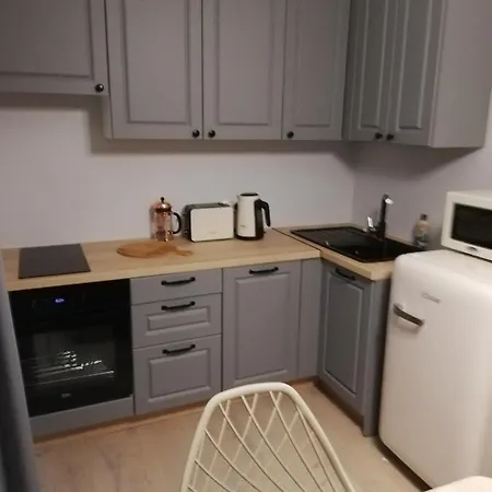 公寓 Vp Kalamaja With Garage *