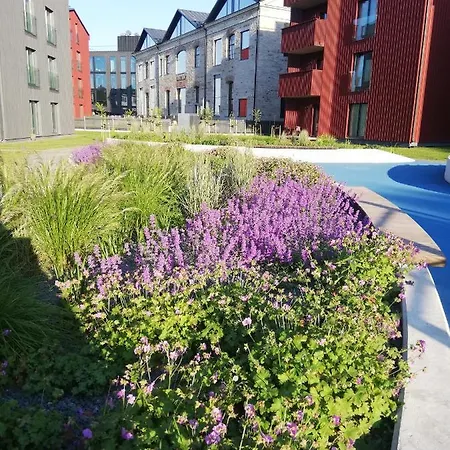 Vp Kalamaja With Garage * 塔林